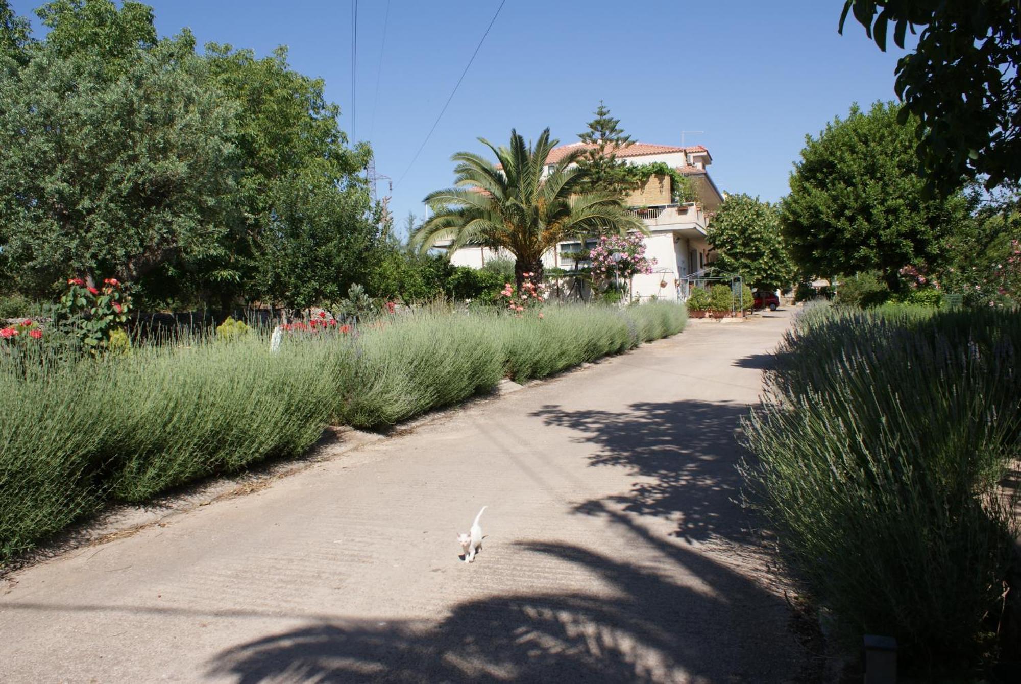 Bed and Breakfast Giogaia Modica Exterior foto